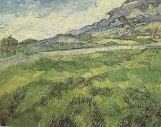 Vincent Van Gogh, Green Wheat Field (nn04)